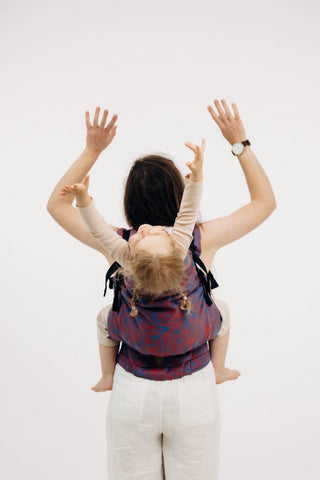 Limited Edition Rapunzel Swirl Preschool Carrier
