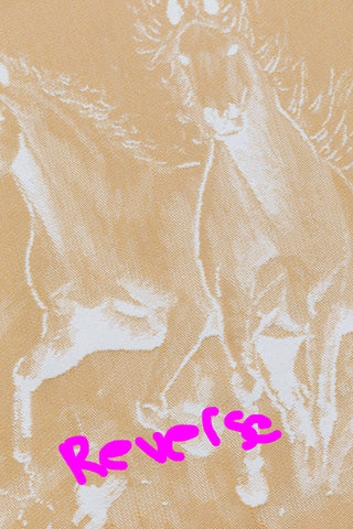 Gallop Palomino Reverse Annotated