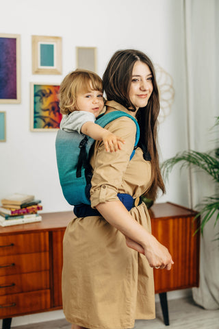 LennyLight wrap conversion soft structured baby backpack carrier (SSC) for children from newborn to 3yrs+ in design Airglow