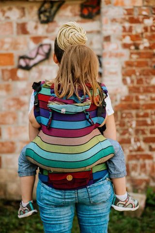 Carousel of Colors - LennyPreschool SSC. Soft-structured, baby-wearing baby carrier for toddlers with hood. 