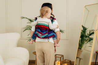 LennyLamb Onbuhimo PRO - Carousel of Colors back view with hood