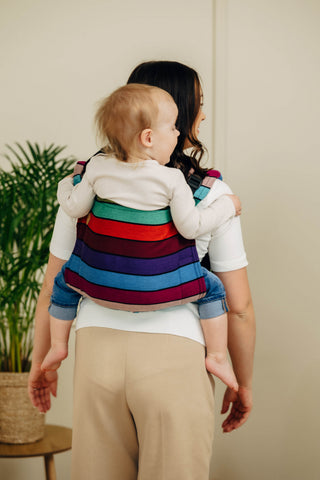 LennyLamb Onbuhimo PRO - Carousel of Colors back view without hood