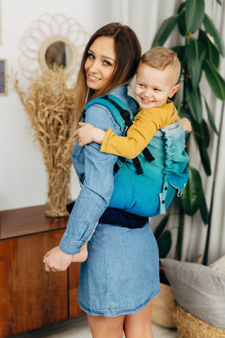 Preschool size soft structured baby backpack carrier in print Airglow